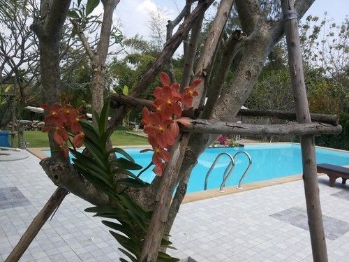 Kanvela Resort Kanchanaburi Buitenkant foto